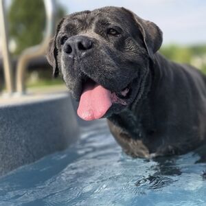 Meet your Posher, Truman